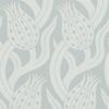 Persian Tulip 312995
